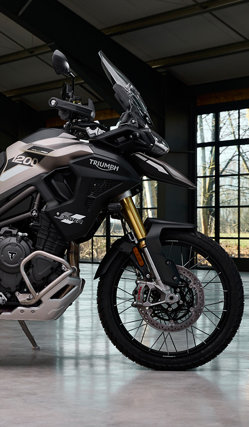 Tiger 1200 Rally Pro