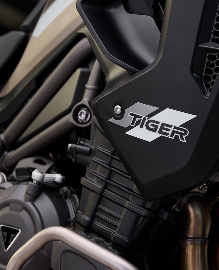 Tiger 1200 Rally Pro
